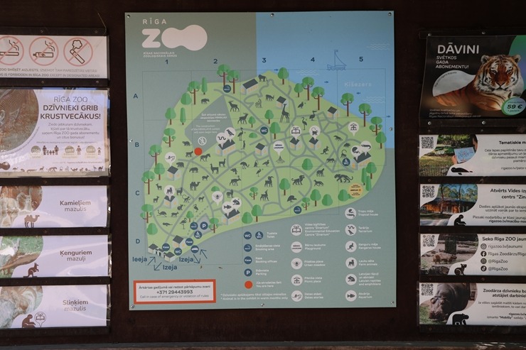 Rīga ZOO uzsāk «Himalaju» ekspozīcijas būvniecību, netraucējot apmeklētāju plūsmai un dzīvniekiem 393288