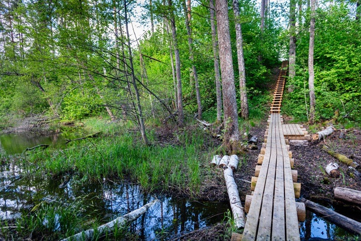 Upursala – Cirīša ezera lielākā sala ar teikām apvīto Upurkalnu un mēness sirpim līdzīgu siluetu 395196