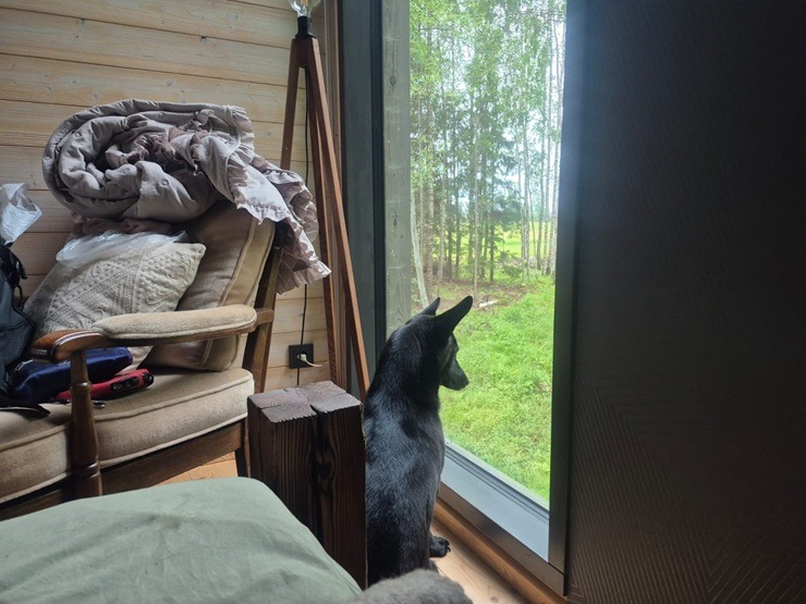 Travelnews un ķepainis Šeidins atpūšas no ikdienas «Glamping Tērvete» 395449