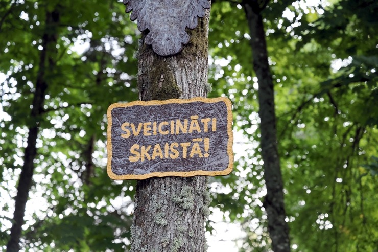 Daži foto mirkļi no Skaistas pagasta svētkiem 2026 Krāslavas novadā 395469
