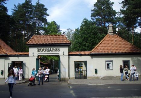 Par nožēlu Rīgas Zooloģiskā dārza interneta vietnē www.rigazoo.lv iespējams uzzināt vienīgi zoo adresi un to, ka lapu sponsorē kāda partija. Par nožēlu Rīgas Zooloģiskā dārza interneta vietnē www.rigazoo.lv iespējams uzzināt vienīgi zoo adresi un to, ka lapu sponsorē kāda partija. 23360