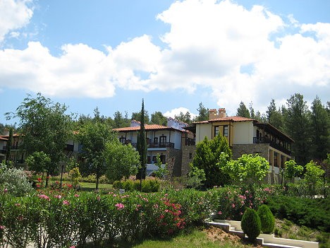 Viesnīcas teritorijā ir 2 restorāni, a la carte restorāns, taverna, bārs, bārs pie baseina un pludmalē, 10 konferenču zāles, ārsta pakalpojumi, veļas  23753