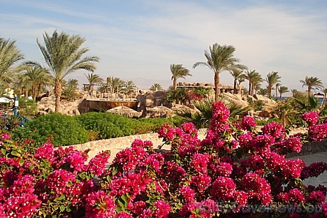 Taba Height Marriott Taba 5* 29543