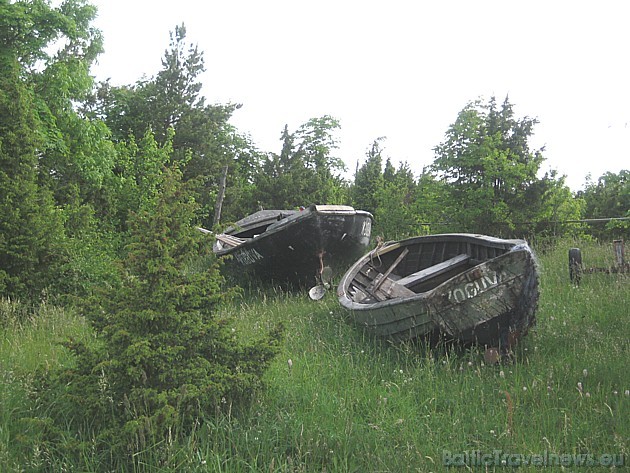 Kadiķu audzēs novietotās zvejnieku laivas gaida savus saimniekus 35638