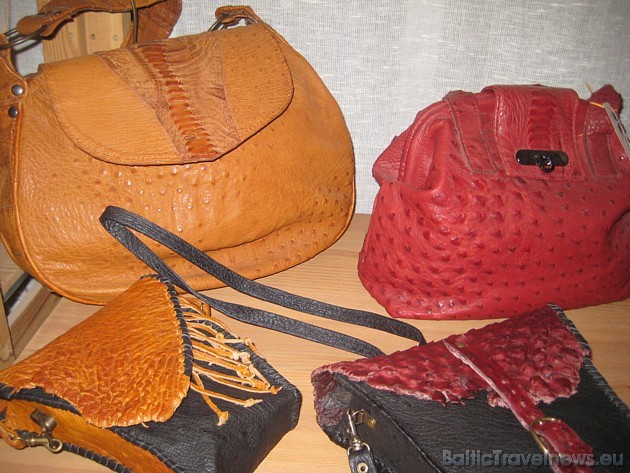 Lāsu saimniecības veikaliņā var iegādāties arī ķengura ādu, kā arī strausu spalvas, dažādus izstrādājumus 35644