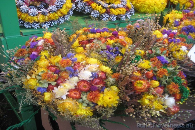 Patiesi krāšņas kompozīcijas izveidojamas no sausajiem ziediem, lai acis varētu priecēt arī ziemā 38076