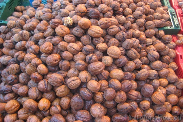 Mārtiņdiena, Mārtiņdiena, 
Kaut varētu Mārtiņdienu 
Aiz ausīm noturēt. 38080