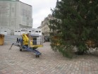 Latvija > Rīga > Ziemassvētku egle Doma laukumā