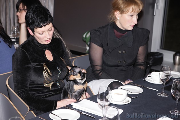 Tradicionāli un netradicionāli ēdieni apkopoti ekoloģiski veidotajā restorāna ēdienkartē, tiek piedāvātas gan galantas biznesa pusdienas, gan nesteidz 39013