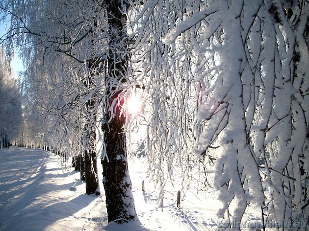 BalticTravelnews.com (Travelnews.lv) aicina lasītājus piedalīties foto konkursā LATVIJAS AUTOCEĻI ZIEMĀ! 39111