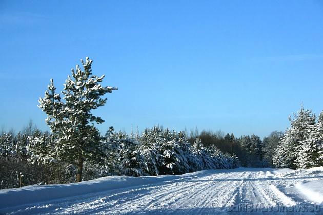 Fotogrāfijas, kas piedalās konkursā, vērtēs kompetenta žūrija 39117