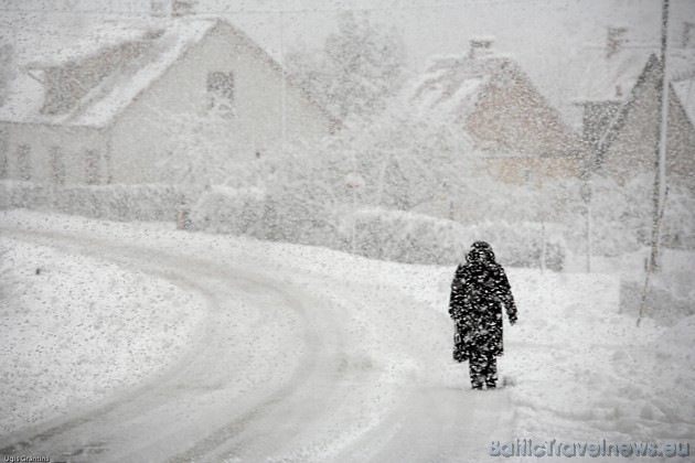 Fotokonkursam iesūtīta fotogrāfija 39124
