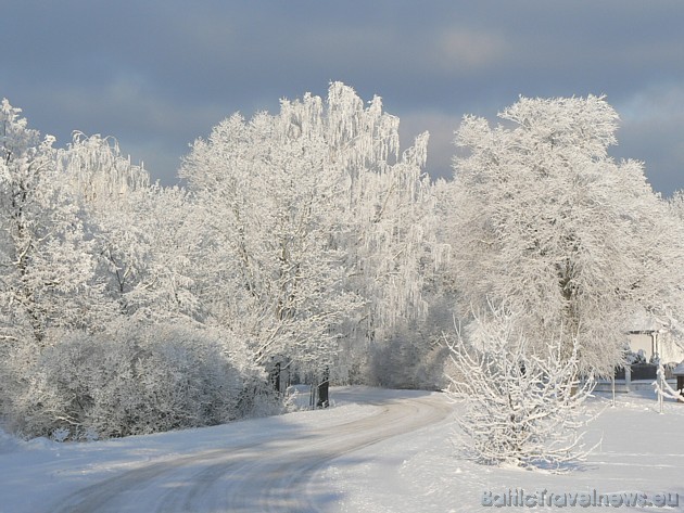 Fotokonkursam iesūtīta fotogrāfija 39125