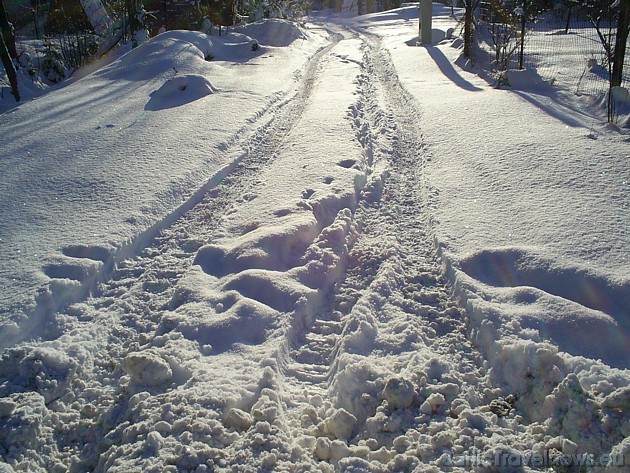 Fotokonkursam iesūtīta fotogrāfija 39128