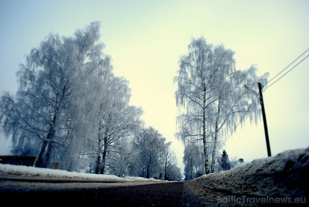 Foto: Ieva G. 39157