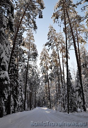 Foto: Nauris K. 39185