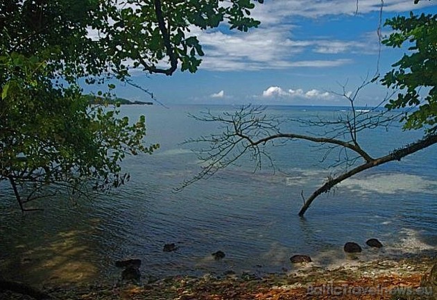 Kanopi House viesiem lielākoties piedāvā ar ūdeni saistītu atpūtu - snorkelēšanu, niršanu, laivu braucienus, braucienus ar kajakiem 40999