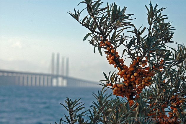 Skonē atrodas Malmes pilsēta, kur lielais Oresund tilts savieno Zviedriju un Dāniju
Foto: Skane.com 43495