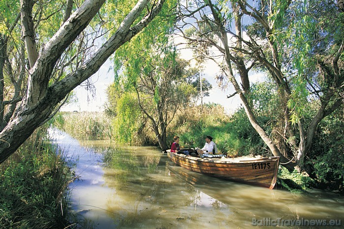 Ceļotāji, kas dodas uz Austrāliju, bieži izvēlas viesoties tieši Dienvidaustrālijas plašajās un dažādajās teritorijās
Foto: SATC Ceļotāji, kas dodas uz Austrāliju, bieži izvēlas viesoties tieši Dienvidaustrālijas plašajās un dažādajās teritorijās
Foto: SATC 49415
