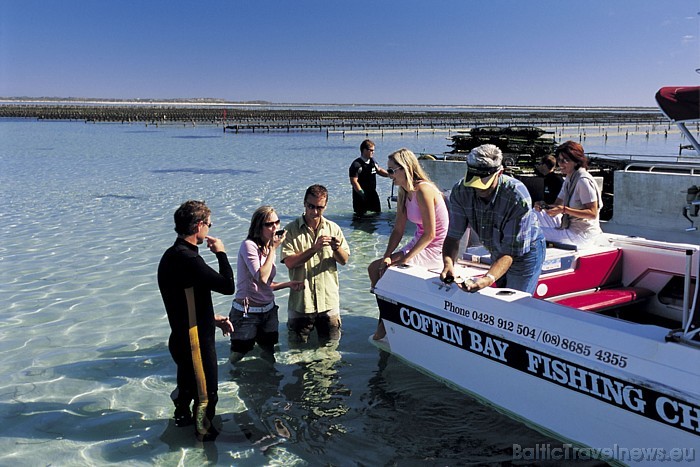 Kristālskaidrs ūdens, neskarta daba, okeāns, jūras dzīvnieki - ir daudz iemeslu, kāpēc tūristi Dienvidaustrālijā dodas iepazīt ūdens pasauli 
Foto: S 49416