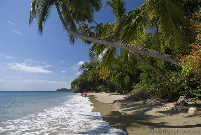 Šobrīd Dominikānā strauji kļūst populārs ekoloģiskais tūrisms un neskartas dabas meklējumi
Foto: GoDominicanRepublic.com Šobrīd Dominikānā strauji kļūst populārs ekoloģiskais tūrisms un neskartas dabas meklējumi
Foto: GoDominicanRepublic.com 49442