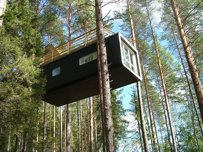 Viesnīca sastāv no sešiem unikāliem numuriem, kas izbūvēti kokos 4-6 metru augstumā
Foto: © Treehotel 51161