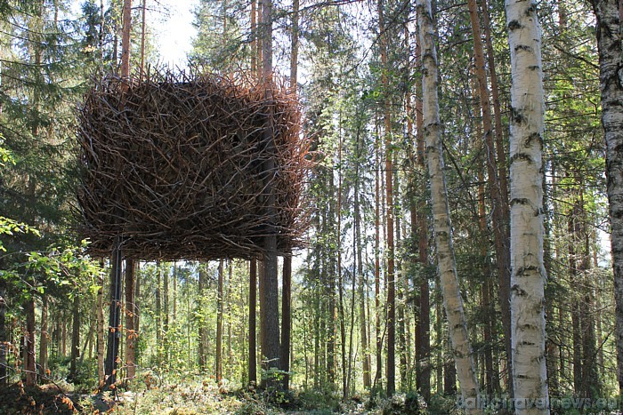 Viesnīca Treehotel domāta tiem, kas vēlas piepildīt bērnības sapni un padzīvot kokā. Tiesa, viesnīcā pieejami ļoti komfortabli numuri
Foto: © Treehot 51162