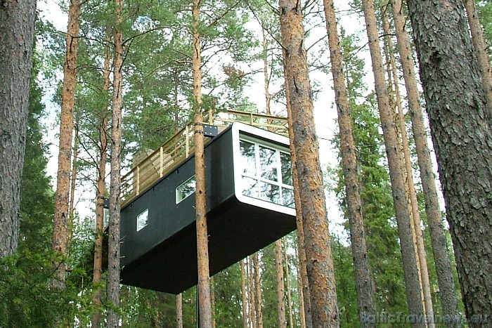 Viesnīcas Treehotel numuri lielākoties sastāv no koka (tikai viena numura apdarē izmantots stikls) un tie izvietoti priedes kokos
Foto: © Treehotel 51167