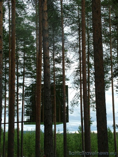 Nakšņošana viesnīcā maksā no 370-450 eiro par nakti. Cena atkarīga no izvēlētā numura. Viesnīcas Treehotel adrese: Edeforsväg 2A, S-960 24 Harads
Fot 51169