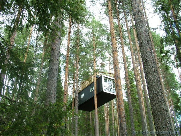 Vairāk informācijas par viesnīcu Treehotel iespējams atrast interneta vietnē www.treehotel.se
Foto: © Treehotel 51171