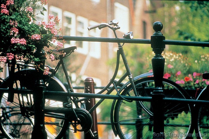 Tas nozīmē, ka Amsterdamu tuvākajā laikā apmeklēs vēl vairāk tūristi, tāpēc gan greznās mājas kanālu malās, gan akmens tilti tiek pamatīgi uzkopti
Fo Tas nozīmē, ka Amsterdamu tuvākajā laikā apmeklēs vēl vairāk tūristi, tāpēc gan greznās mājas kanālu malās, gan akmens tilti tiek pamatīgi uzkopti
Fo 52446