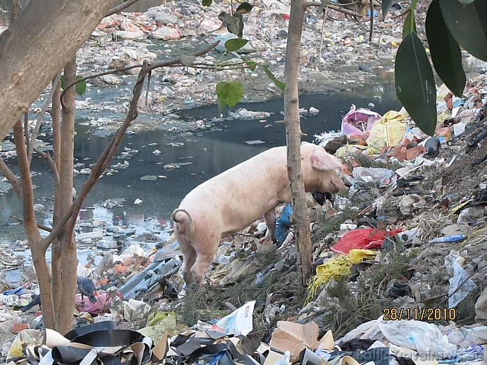 Vai šāda ir atgriešanās Katmandu? Foto: Relaks Tūre 53073