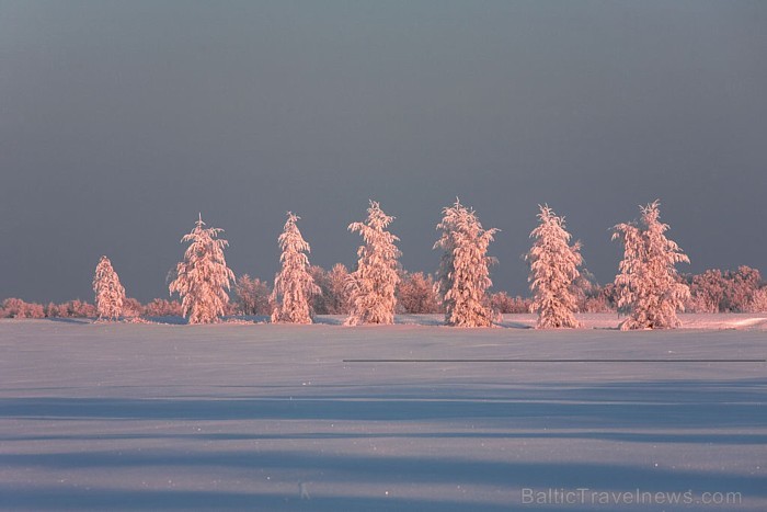 Ceļa garums pār aizsalušās Baltijas jūras ledu ir 26 kilometri, tādējādi tas ir garākais ledusceļš pasaulē
Foto: Visit Estonia/Jaak Nilson Ceļa garums pār aizsalušās Baltijas jūras ledu ir 26 kilometri, tādējādi tas ir garākais ledusceļš pasaulē
Foto: Visit Estonia/Jaak Nilson 55876