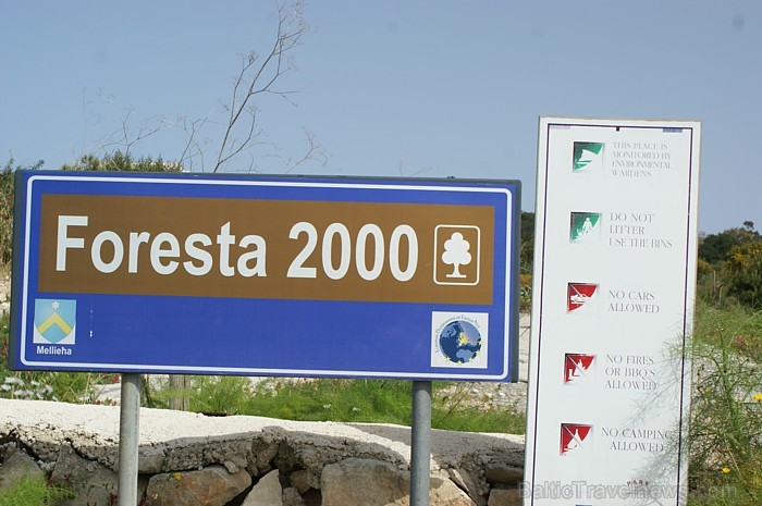 Malta (Foto: Armands Muižnieks) 58339