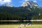 Durmitor Nacionālajā parkā kalnu virsotnes sniedzas līdz pat 2200 metru augstumā
Foto: Leo Perunovic 15