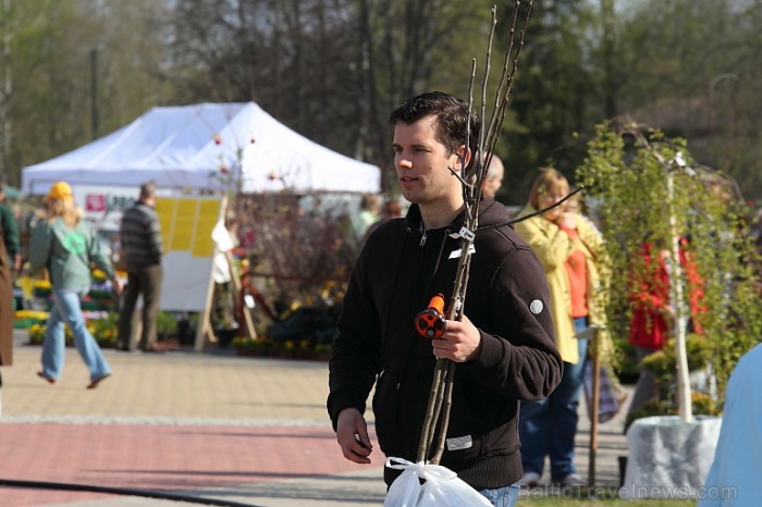 Latvijas Stādu parāde 2011 notika Siguldā, Svētku laukumā pie panorāmas riteņa. Papildus informācija: www.staduparade.lv
Foto: Juris Kilkuts Latvijas Stādu parāde 2011 notika Siguldā, Svētku laukumā pie panorāmas riteņa. Papildus informācija: www.staduparade.lv
Foto: Juris Kilkuts 59001