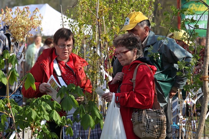 Latvijas Stādu parāde 2011 notika Siguldā, Svētku laukumā pie panorāmas riteņa. Papildus informācija: www.staduparade.lv
Foto: Juris Kilkuts Latvijas Stādu parāde 2011 notika Siguldā, Svētku laukumā pie panorāmas riteņa. Papildus informācija: www.staduparade.lv
Foto: Juris Kilkuts 59002