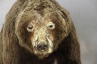Rūras reģions Vācijā (www.ruhr-tourismus.de) 29