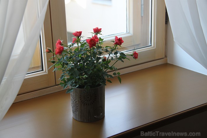 Četru zvaigžņu dizaina viesnīca Old City Boutique Hotel atrodas Vecrīgā (Teātra ielā 10) un īsā laika posmā ir kļuvusi par iecienītu naktsmītni ārzemn Četru zvaigžņu dizaina viesnīca Old City Boutique Hotel atrodas Vecrīgā (Teātra ielā 10) un īsā laika posmā ir kļuvusi par iecienītu naktsmītni ārzemn 61715