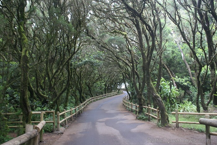 Ceļojums no Tenerifes salas uz Gomeras salu (La Gomera) ar prāmi sadarbībā ar tūroperatoru Tez Tour (www.teztour.lv) Ceļojums no Tenerifes salas uz Gomeras salu (La Gomera) ar prāmi sadarbībā ar tūroperatoru Tez Tour (www.teztour.lv) 64048