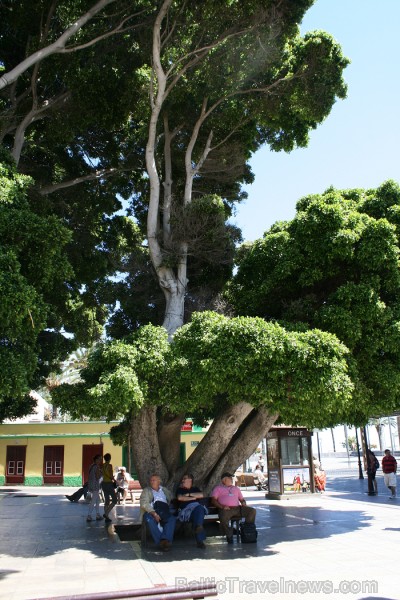 Ceļojums no Tenerifes salas uz Gomeras salu (La Gomera) ar prāmi sadarbībā ar tūroperatoru Tez Tour (www.teztour.lv) Ceļojums no Tenerifes salas uz Gomeras salu (La Gomera) ar prāmi sadarbībā ar tūroperatoru Tez Tour (www.teztour.lv) 64099