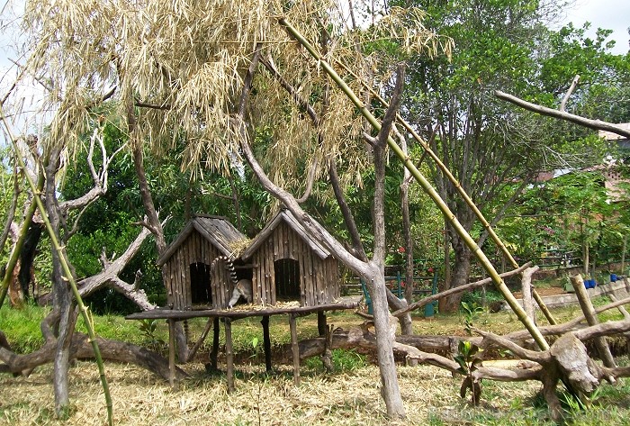 Balvas «Gada cilvēks tūrismā 2010» ieguvēja Gaida Matisone (avīzes Telegraf žurnāliste) apceļo noslēpumaino Madagaskaru  Foto: Gaida Matisone 68200
