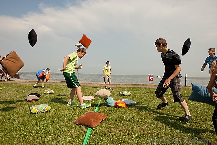 Bitėlandas 2012 78446