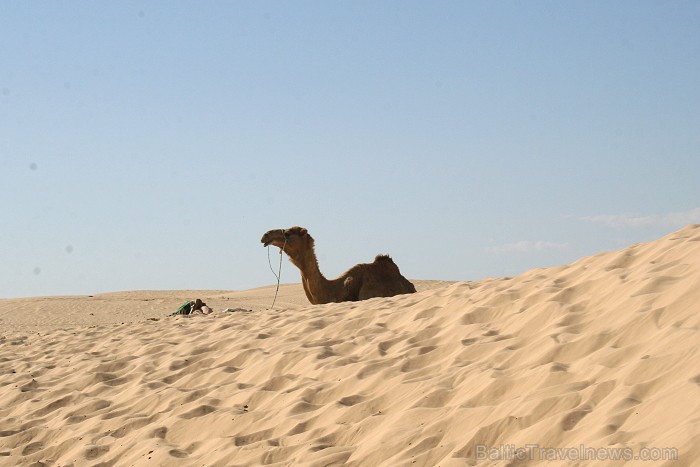 Travelnews.lv sameklē filmas Zvaigžņu kari pilsētas dekorācijas Sahāras tuksnesī (Tunisija) 79257