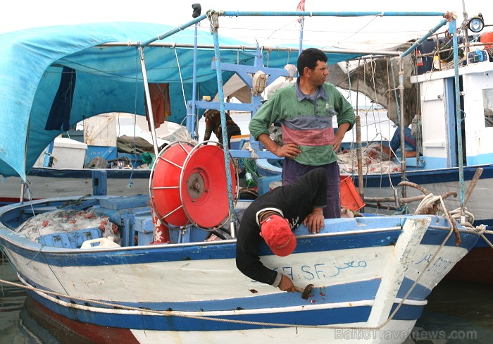 Esot Džerbas salā (Tunisija) noteikti dodies apciemot kādu no nelielām zvejnieku ostām, izbaudīt vietējo iedzīvotāju viesmīlību Esot Džerbas salā (Tunisija) noteikti dodies apciemot kādu no nelielām zvejnieku ostām, izbaudīt vietējo iedzīvotāju viesmīlību 81542
