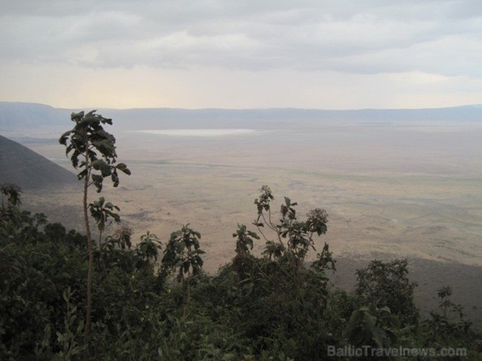 Tanzānijas skaistākie Nacionālie parki - Tarangire, Ngorongoro krāteris un Serengeti parks. Dzīvnieku pārbagātība un lielākā gnu un zebru migrācija pa Tanzānijas skaistākie Nacionālie parki - Tarangire, Ngorongoro krāteris un Serengeti parks. Dzīvnieku pārbagātība un lielākā gnu un zebru migrācija pa 82226