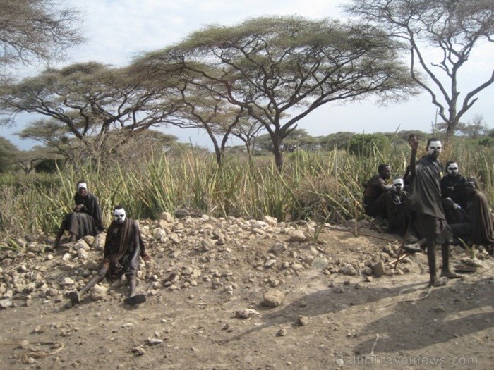 Tanzānijas skaistākie Nacionālie parki - Tarangire, Ngorongoro krāteris un Serengeti parks. Dzīvnieku pārbagātība un lielākā gnu un zebru migrācija pa Tanzānijas skaistākie Nacionālie parki - Tarangire, Ngorongoro krāteris un Serengeti parks. Dzīvnieku pārbagātība un lielākā gnu un zebru migrācija pa 82227