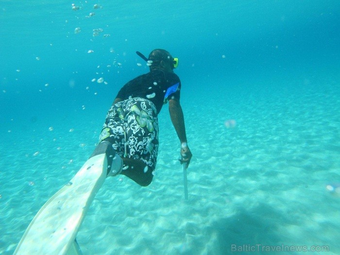Ruma dzimtene – Barbadosa pārsteidz ar savu mantojuma, kultūras un dabas krāšņumu. Foto: www.visitbarbados.org Ruma dzimtene – Barbadosa pārsteidz ar savu mantojuma, kultūras un dabas krāšņumu. Foto: www.visitbarbados.org 82662