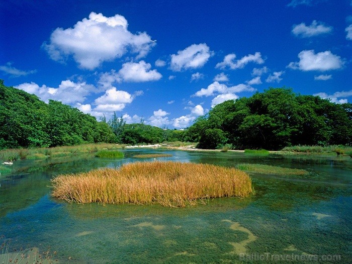 Ruma dzimtene – Barbadosa pārsteidz ar savu mantojuma, kultūras un dabas krāšņumu. Foto: www.visitbarbados.org Ruma dzimtene – Barbadosa pārsteidz ar savu mantojuma, kultūras un dabas krāšņumu. Foto: www.visitbarbados.org 82687