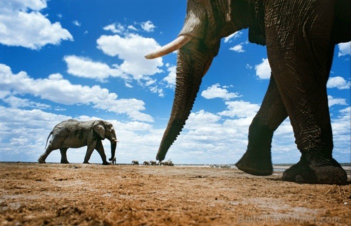Namībija ir valsts Āfrikas dienvidrietumu piekrastē, kuras dzīvē daba neatstāj vienaldzīgu nevienu dabas mīļotāju. Foto: www.namibiatourism.com Namībija ir valsts Āfrikas dienvidrietumu piekrastē, kuras dzīvē daba neatstāj vienaldzīgu nevienu dabas mīļotāju. Foto: www.namibiatourism.com 82922